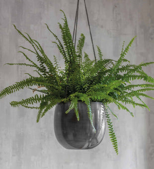 Hanging Plant Pot