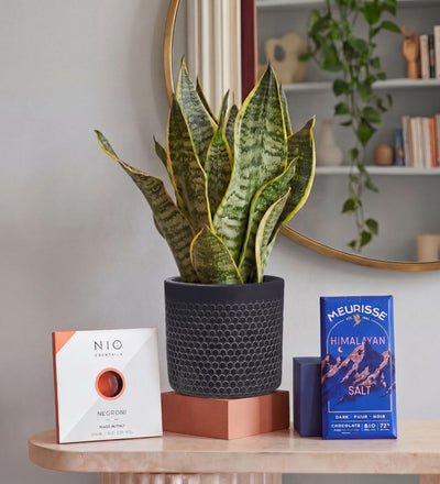 Father's Day Bundle