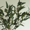 Artificial Eucalyptus Bunch