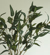 Artificial Eucalyptus Bunch