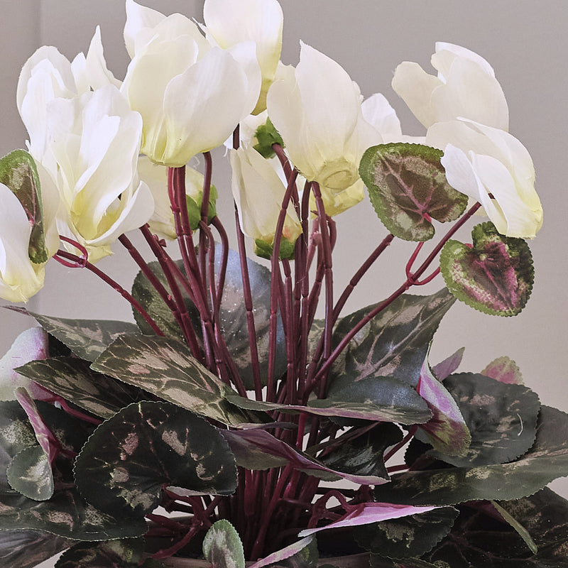 Artificial White Cyclamen