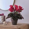 Artificial Red Cyclamen