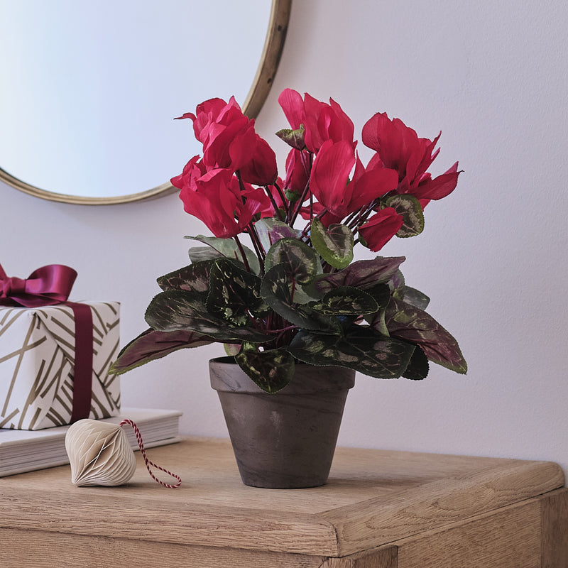 Artificial Red Cyclamen