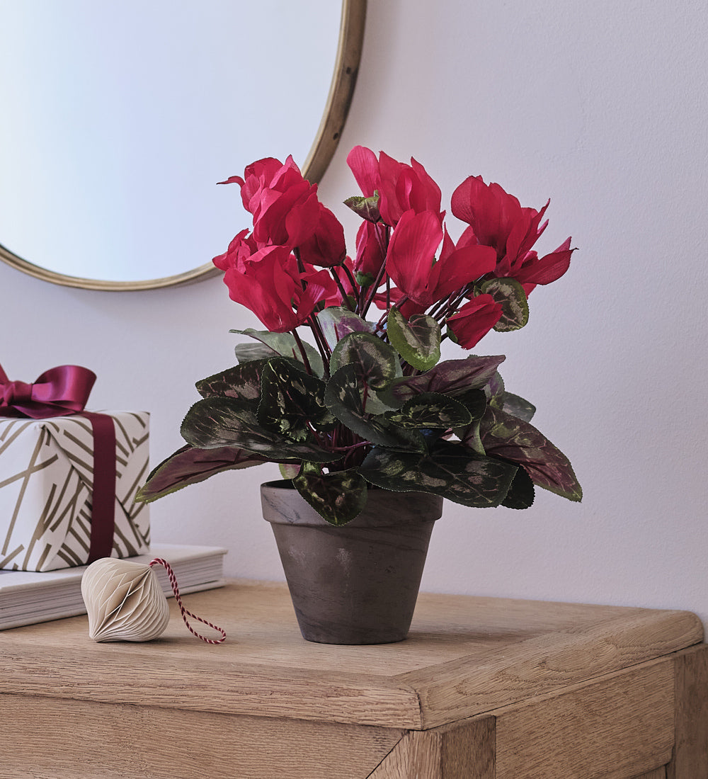 Artificial Red Cyclamen
