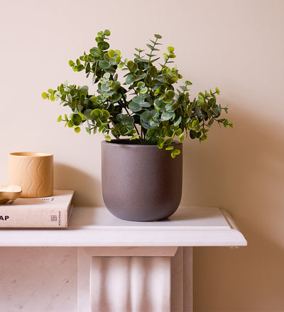 eucalyptus plant uk indoor Artificial Eucalyptus
