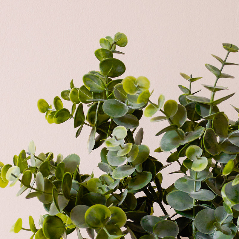 Artificial Eucalyptus