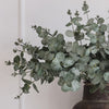 Artificial Eucalyptus Bunch