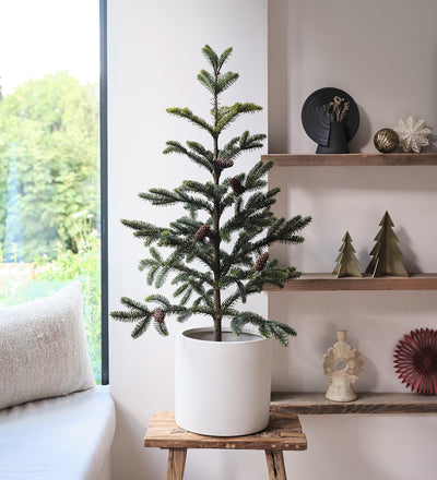 Artificial 3ft Norfolk Pine with Cones
