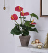 Artificial Red Anthurium