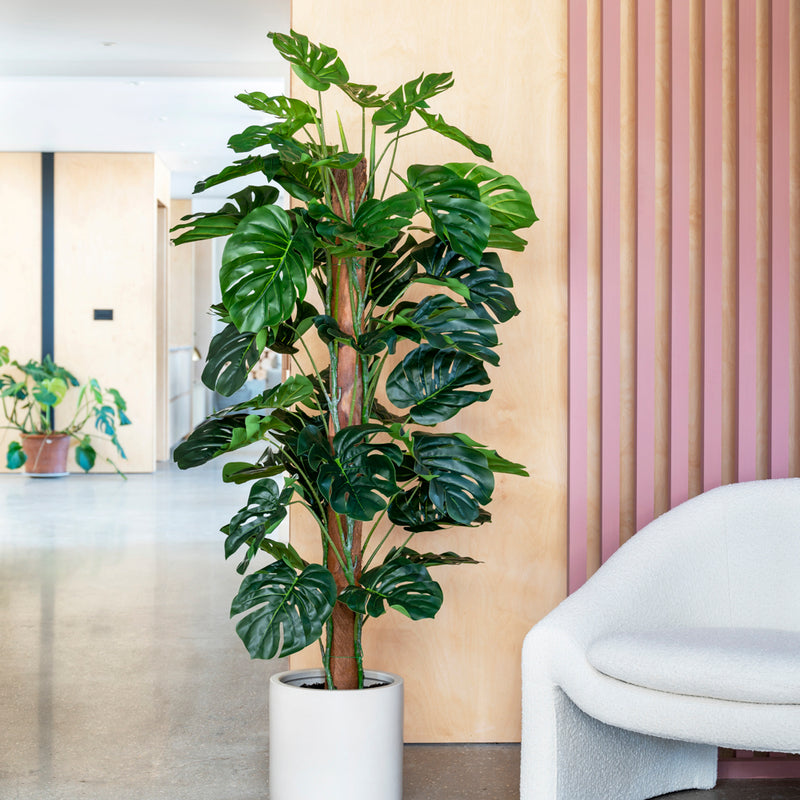 Artificial Swiss Cheese Plant