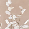 Artificial Lunaria Bunch