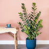 Imperfect Artificial Plant