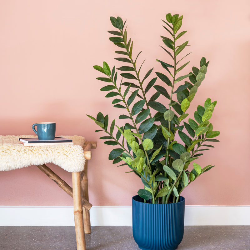 Imperfect Artificial Plant