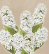 Artificial Hydrangea Paniculata Bunch