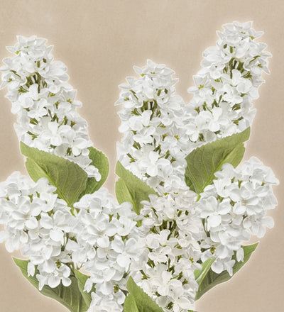 Artificial Hydrangea Paniculata Bunch