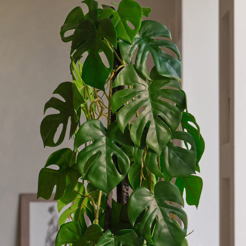 Artificial Monstera Triple Stem