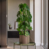 Artificial Monstera Triple Stem