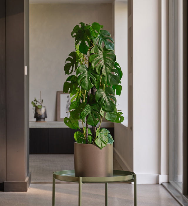 Artificial Monstera Triple Stem