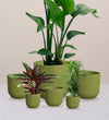 Green Elho Vibes Pot