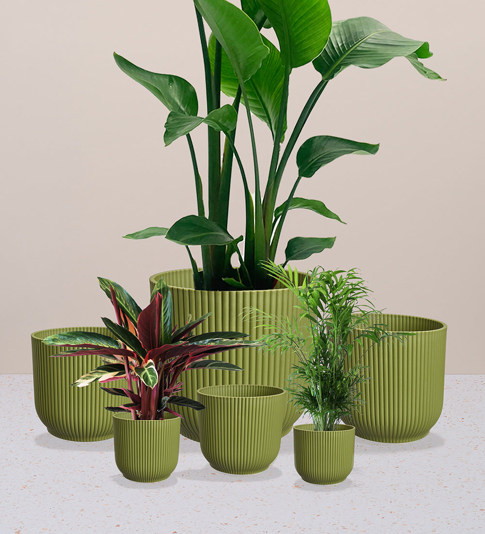 Green Elho Vibes Pot