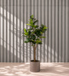 Artificial Rubber Plant