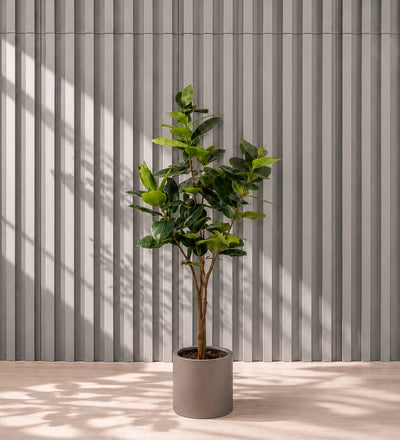 Artificial Rubber Plant