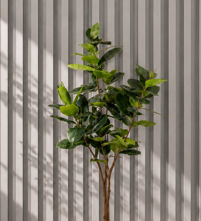 Artificial Rubber Plant