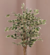 Artificial Ficus Benjamina Twilight