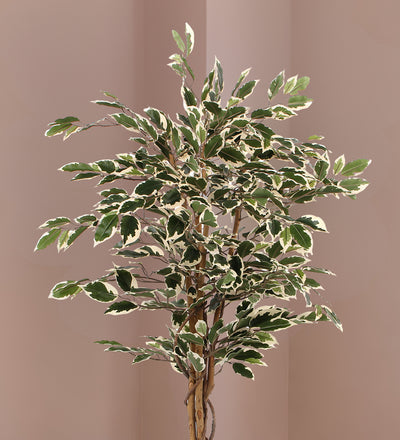 Artificial Ficus Benjamina Twilight