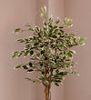 Artificial Ficus Benjamina Twilight