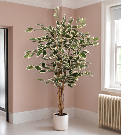 Artificial Ficus Benjamina Twilight