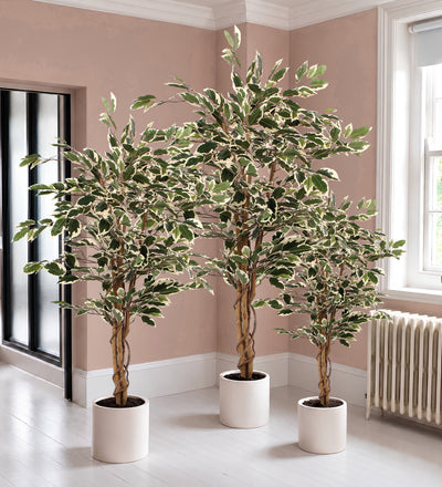 Artificial Ficus Benjamina Twilight