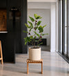 Artificial Fig Tree