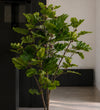 Artificial Fig Tree
