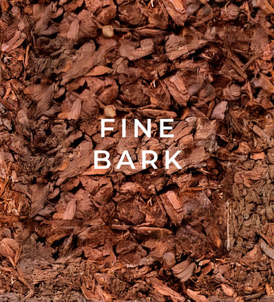 Fine bark