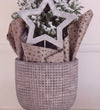 Frosted Picea in Ceramic Pot