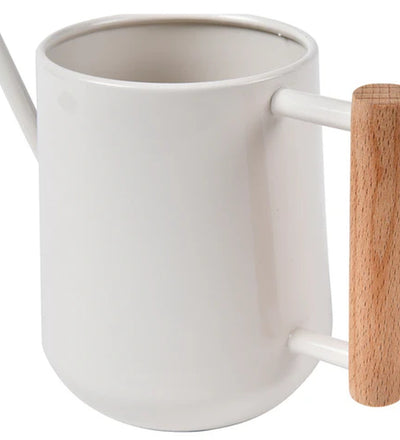 Metal Watering Can
