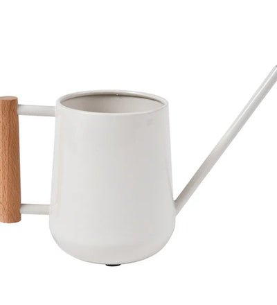 Metal Watering Can