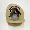 Mini Purple Passion Plant & Pot