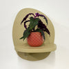 Mini Purple Passion Plant & Pot