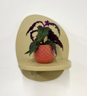 Pink Pot
