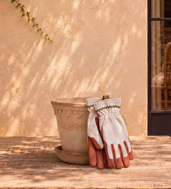Olive Stripe Gloves
