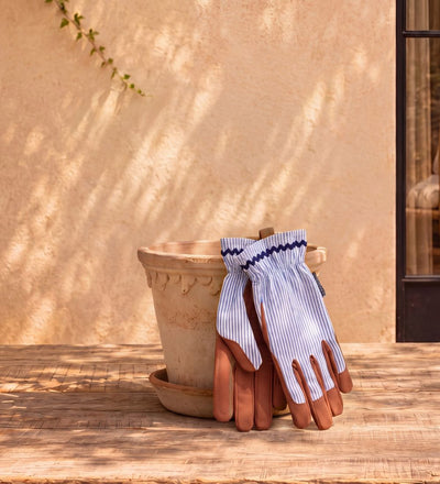 Blue Stripe Gloves