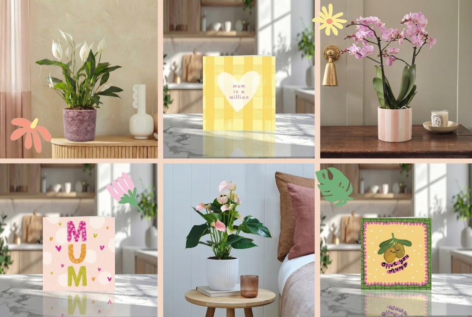 For all those who mum