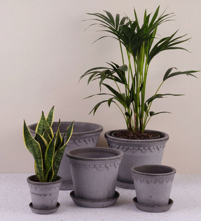Grey Bergs Potter Copenhagen Pot