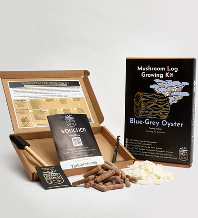 Oyster Mushroom Log Growing Kit