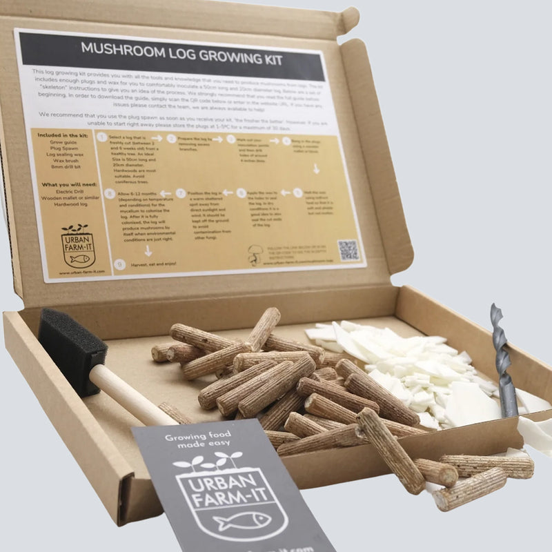 Oyster Mushroom Log Growing Kit