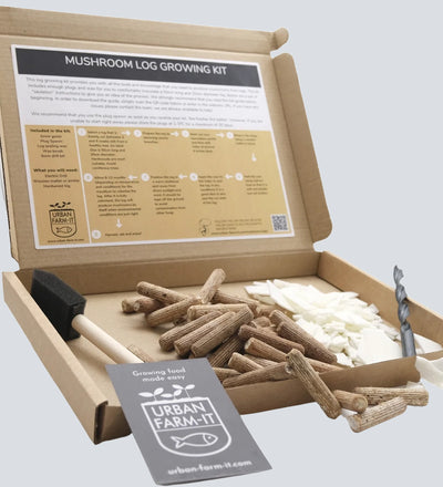 Oyster Mushroom Log Growing Kit