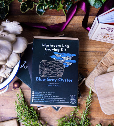 Oyster Mushroom Log Growing Kit