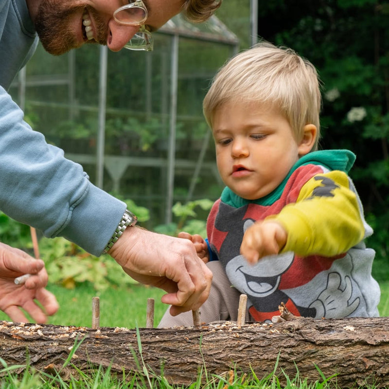 Oyster Mushroom Log Growing Kit
